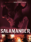 Salamander